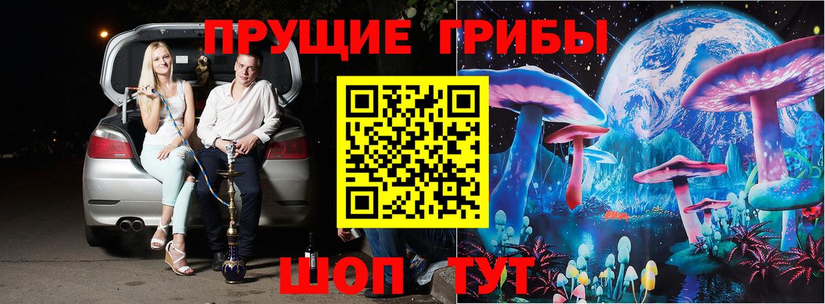 Галлюциногенные грибы прущие грибы Орехово-Зуево