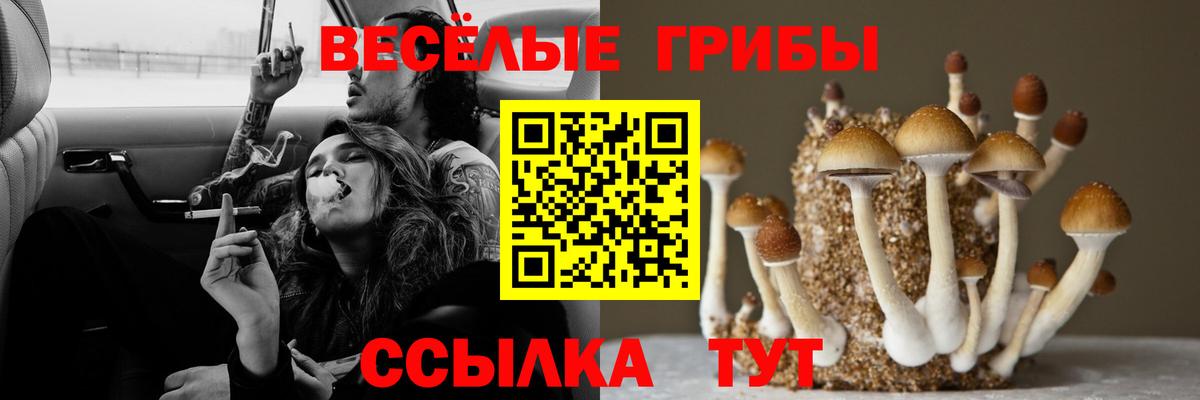 Псилоцибиновые грибы прущие грибы  Вход с VPN  Орехово-Зуево 